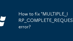 'multiple_irp_complete_requests'??? ???? ??? ??????