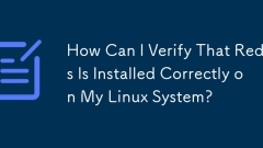 Linux 시스템에 Redis가 올바르게 설치되어 있는지 어떻게 확인할 수 있습니까?
