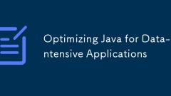 Optimierung von Java für datenintensive Anwendungen