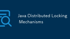Java verteilte Verriegelungsmechanismen