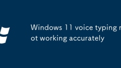 Le typage vocal de Windows 11 ne fonctionne pas avec précision