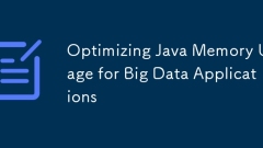 Optimierung des Java -Speicherverbrauchs für Big -Data -Anwendungen