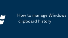 How to manage Windows 11 clipboard history