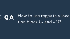 위치 블록 (~ 및 ~*)에서 regex를 사용하는 방법?