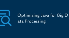 Optimisation de Java pour le traitement des mégadonnées