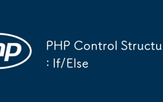 PHP控制結(jié)構(gòu):如果/其他