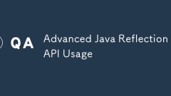 Utilisation avancée de l'API de réflexion Java