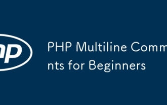 php for初學(xué)者的多元評(píng)論