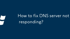 DNS ??? ???? ?? ??? ??????