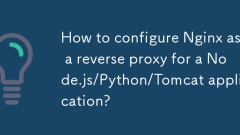 node.js/python/tomcat 응용 프로그램의 리버스 프록시로 nginx를 구성하는 방법은 무엇입니까?