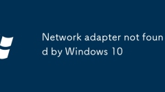 Netzwerkadapter nicht von Windows 10 gefunden
