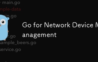 Go for Network Device Management