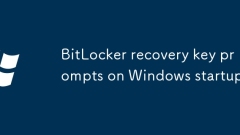 BitLocker -Wiederherstellungsschlüssel Eingabeaufforderungen beim Windows -Start