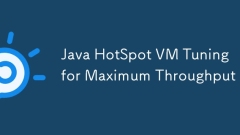 Réglage de la VM Java Hotspot pour le débit maximum