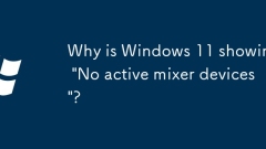 Windows 11? '?? ?? ?? ??'? ???? ??? ??????
