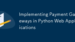 在Python Web应用程序中实施付款网关