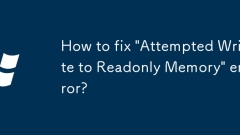 'Readonly Memory? ?? ?? ??'??? ???? ??? ??????