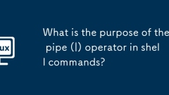 ? ???? ??? (|) ???? ??? ??????