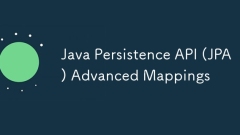 Java Persistence API (JPA) Advanced Mappings