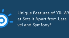 Ciri -ciri unik Yii: Apa yang membezakannya daripada Laravel dan Symfony?