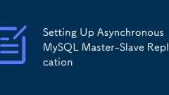 Menyediakan replikasi master-hamba mysql asynchronous