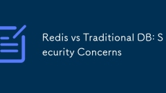 Redis vs 전통적인 DB : 보안 문제