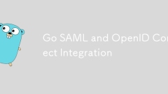 Go SAML和OpenID Connect Integration