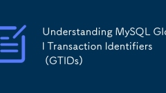 了解MySQL全球交易標識符(GTIDS)