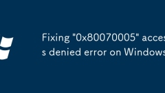 Behebung von '0x80070005' Zugriff verweigerte Fehler unter Windows