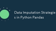 Python Pandasのデータ代入戦略