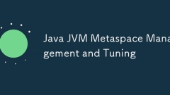 Java JVM Metaspace 관리 및 튜닝