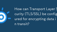 如何将运输层安全性(TLS/SSL)配置为在运输中加密数据?