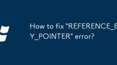 Bagaimana untuk memperbaiki ralat 'Rujukan_By_Pointer'?