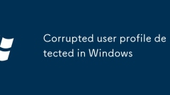 Profil pengguna yang rosak dikesan di Windows