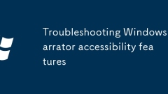 Fehlerbehebung Windows Erz?hler -Zug?nglichkeitsfunktionen