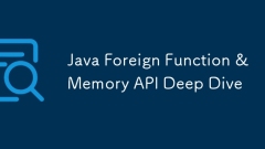 Java Fremd Funktion & Memory API Deep Dive Tauch