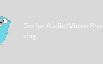 Go for Audio/Video Processing