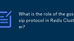 Redis 클러스터에서 가십 프로토콜의 역할은 무엇입니까?