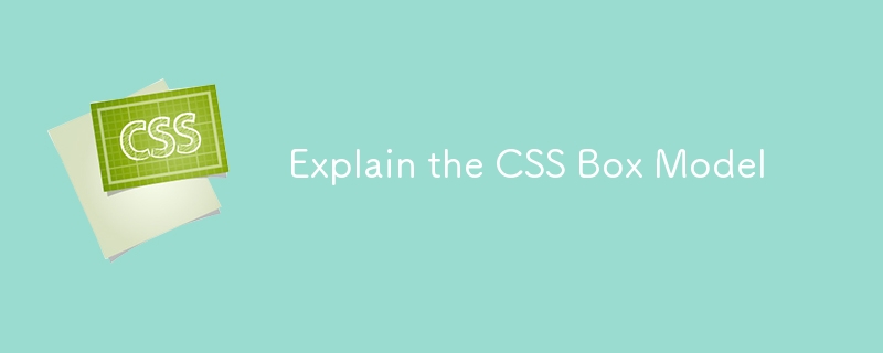 Expliquez le modèle de bo?te CSS