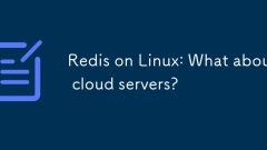 Redis on Linux: What about cloud servers?