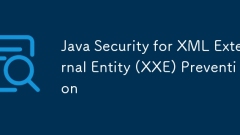 Java -Sicherheit für die Pr?vention von XML External Entity (XXE)