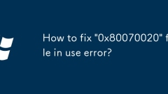?? ???? '0x80070020'??? ???? ???