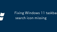 Windows 11 ?? ?? ? ?? ???? ???????