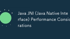 Java JNI (Java Native Interface) ?? ?? ??