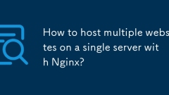 Bagaimana untuk menjadi tuan rumah beberapa laman web pada pelayan tunggal dengan nginx?