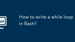 Wie schreibe ich eine Weile Schleife in Bash?