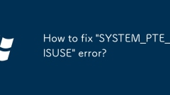 How to fix 'SYSTEM_PTE_MISUSE' error?