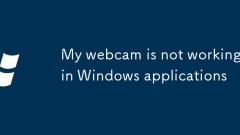 Kamera web saya tidak berfungsi dalam aplikasi windows
