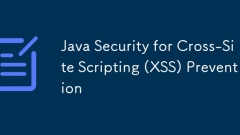 Java Security for Cross-Site Scripting (XSS) Prévention