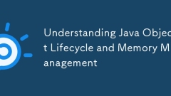 Understanding Java Object Lifecycle and Memory Management